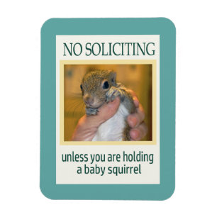 No Soliciting Squirrel Magnet