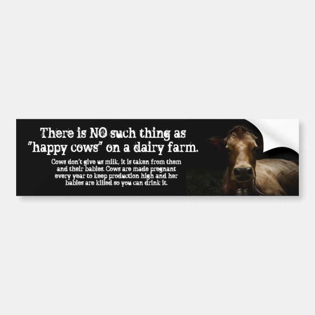 No such thing. bumper sticker (Front)