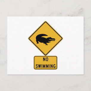 No Swimming - Alligators (2), Sign, Louisiana, US Postcard