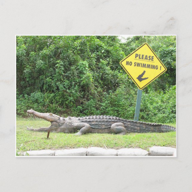 No Swimming! Postcard (Front)