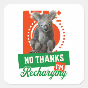 No Thanks, I’m Recharging Koala Bear Battery Square Sticker