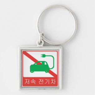 NO Thoroughfare for NEVs Korean Traffic Sign Keychain