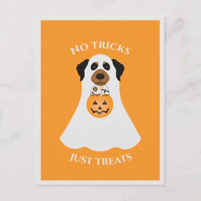No Tricks Just Treats Halloween Dog Postcard (Front)