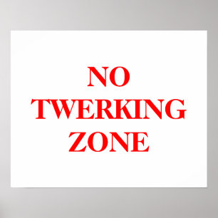 No Twerking Zone poster in bold network letters