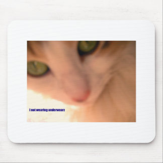 no underwear kitty mouse pad