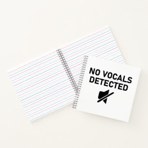 No Vocals Detected Minimal Audio Design Notebook
