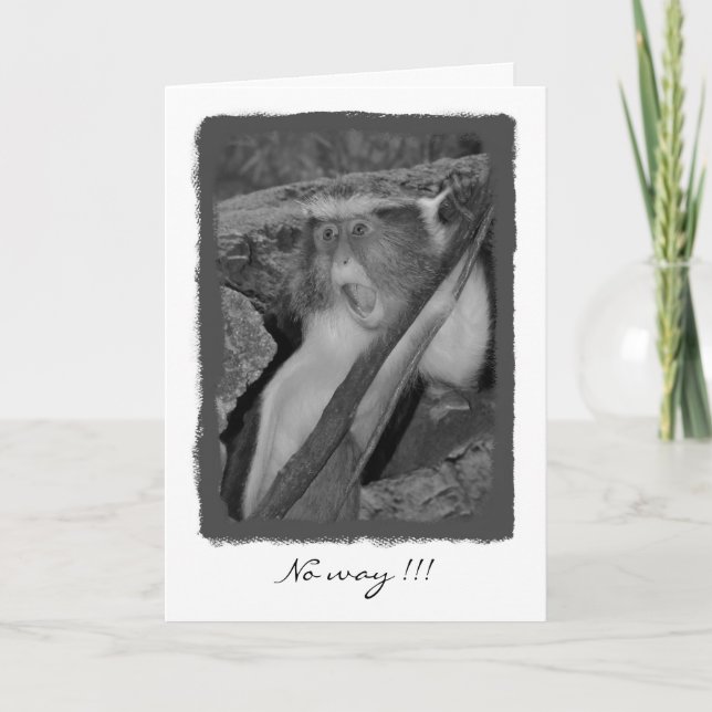 No way, Birthday! Card (Front)