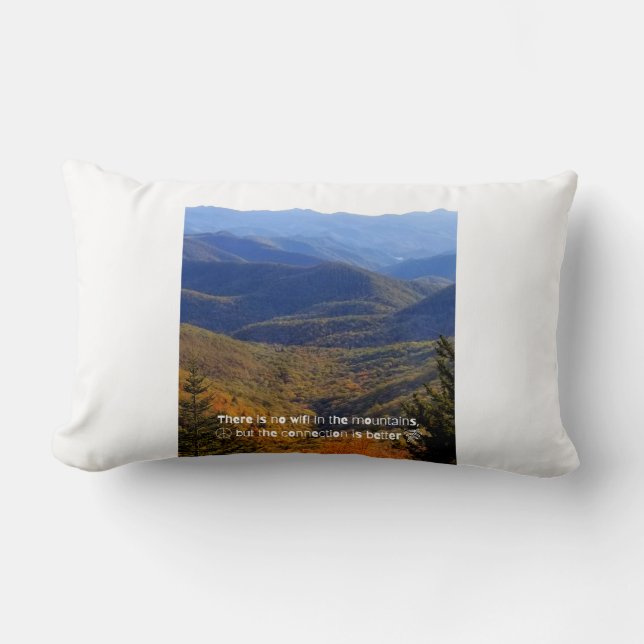 No WIFI  Lumbar Pillow  (Front)