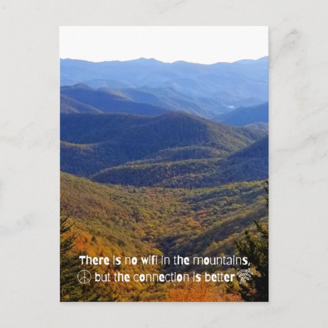 No WIFI   Postcard (Front)