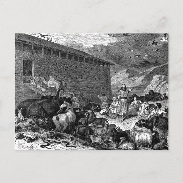 Noah and the Ark Postcard (Front)