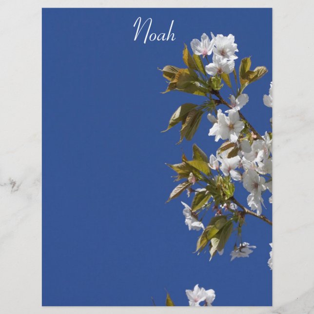 Noah Blossom Letterhead (Front)