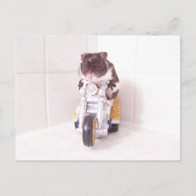 noah yellow cycle postcard (Front)