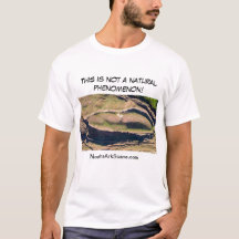 Noah's Ark T-shirt (men)