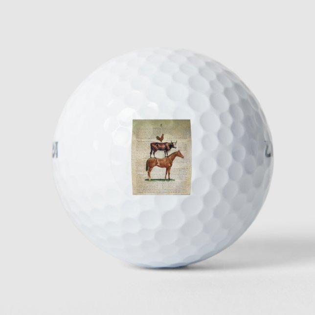 NOB12 Farm Stand C1.tif Golf Balls (Front)