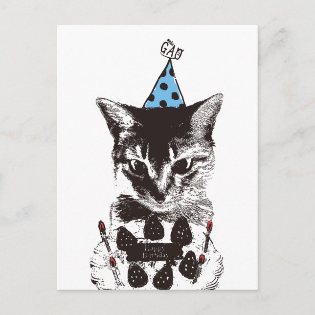 Nobigao Birthday Cat Postcard (Front)