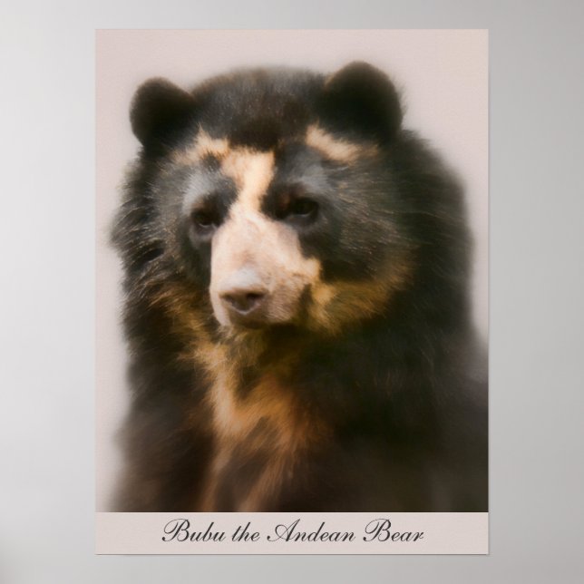 Noble Bubu Portrait Poster (Front)