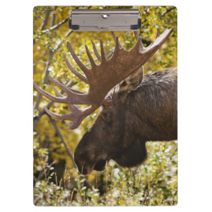 Noble Bull Moose Clipboard