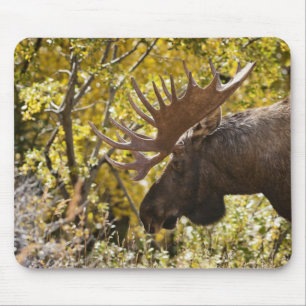 Noble Bull Moose Mouse Pad