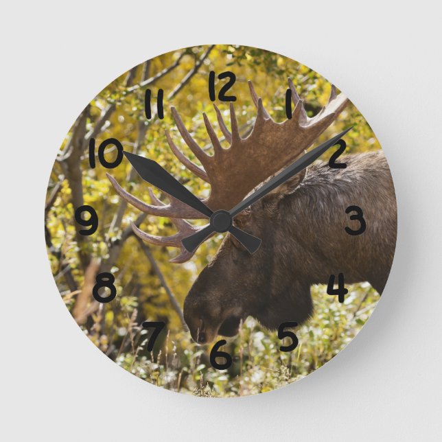 Noble Bull Moose Round Clock (Front)