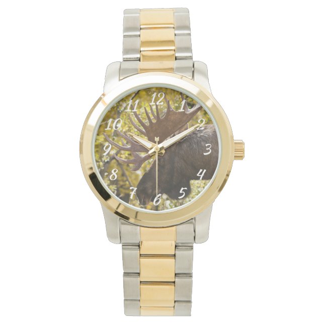 Noble Bull Moose Watch (Front)