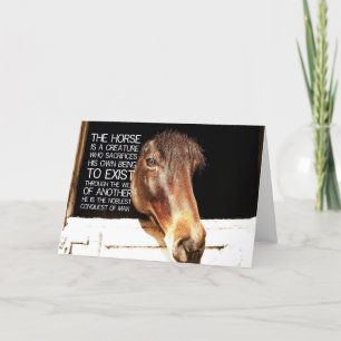 NOBLE STALLION Greeting Card