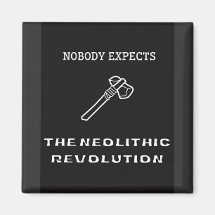 Nobody Expects the Neolithic Revolution Magnet