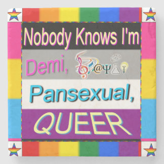 Nobody Knows I'm Demi Sapio Pansexual QUEER Stone Coaster