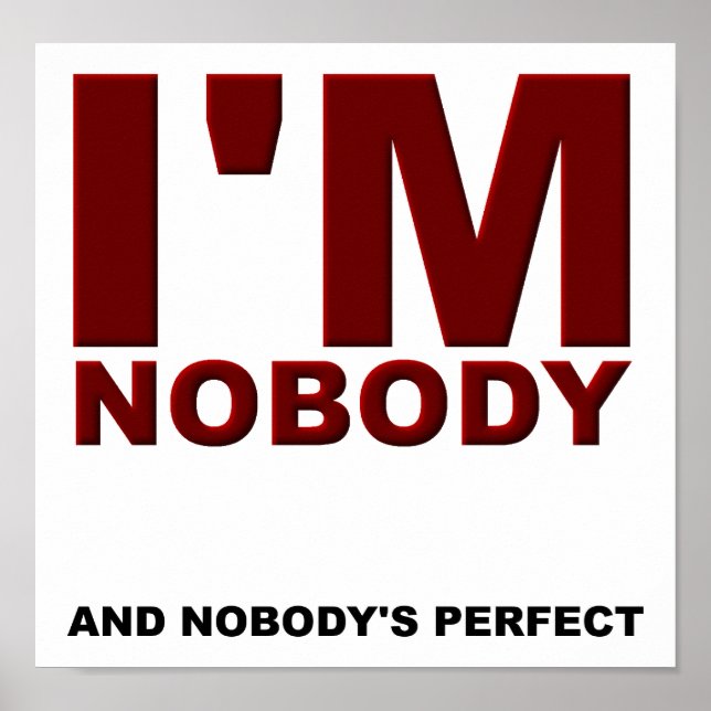 Nobody's Perfect Funny Poster (Front)