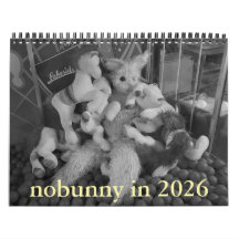 nobunny édition rétrospective du calendrier 2026