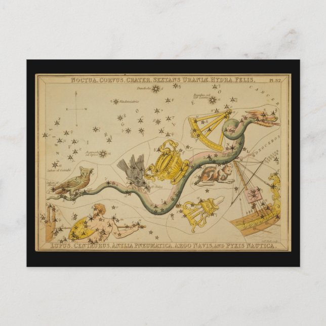 Noctua, Corvus, Hydra, Felis, Lupus, Centaurus, &c Postcard (Front)