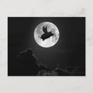 nocturnal flying pig postcard