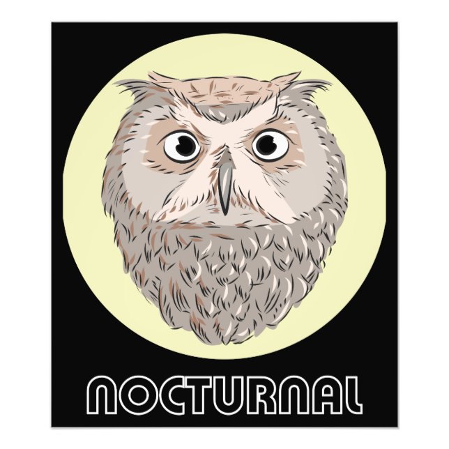 Nocturnal Owl Illustration Poster (Front)