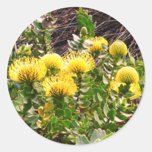Nodding Pincushion Yellow Bird #1Stickers Classic  Round Sticker