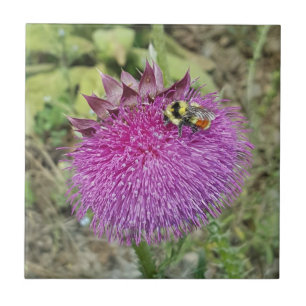 Nodding Thistle - Tile