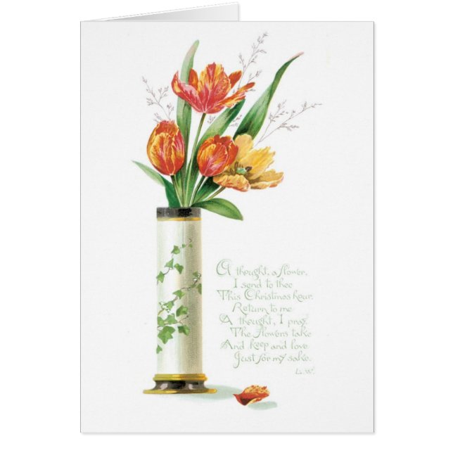 Noël à l'ancienne, Tulipes (Devant)