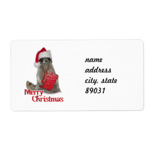 Noël Bandit Raccoon avec présent