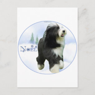 Noel Bearded Collie Holiday Postcard