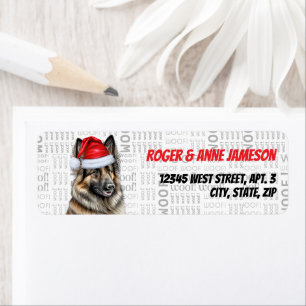 Noël Belge Tervuren Dog Adresse de vacances