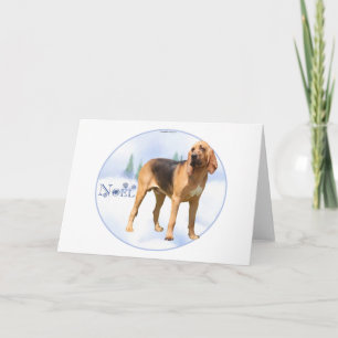 Noel Bloodhound Holiday Card