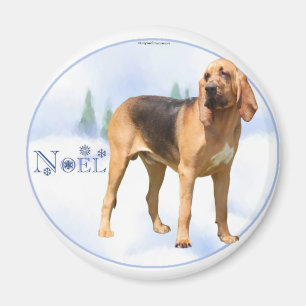 Noel Bloodhound Magnet