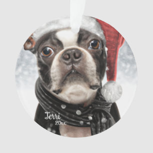 Noël Boston Terrier, Père Noël Dog Orament
