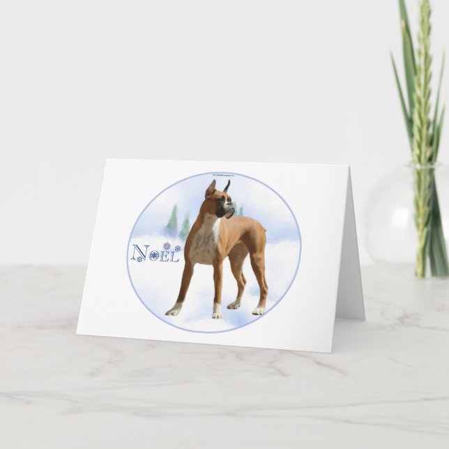 Noel Boxer Holiday Card (Front)