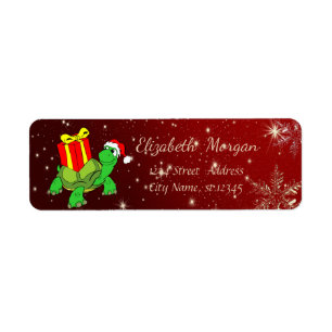 Noël branché,Tortue, Chapeau de Père Noël,Cadeau