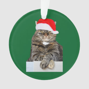 Noël Chat Humbug Photo Cercle Ornement