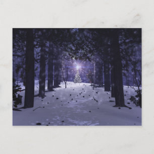 Noël dans la carte postale Pines