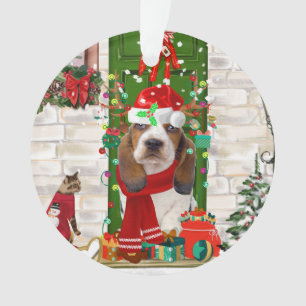 Noël de Basset Hound