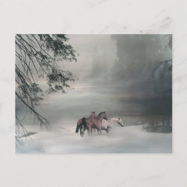 Noël de cheval, cartes postales de vacances (Devant)