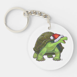 Noël de la tortue nocturne étoilée