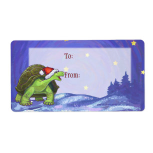 Noël de la tortue nocturne étoilée