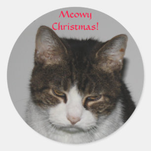 Noël de Meowy ! - Autocollants de salutation de